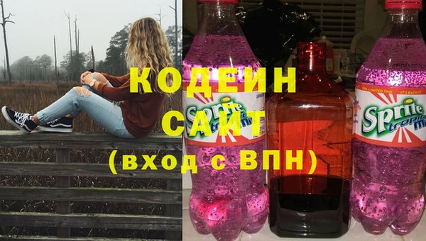 гашик Майский