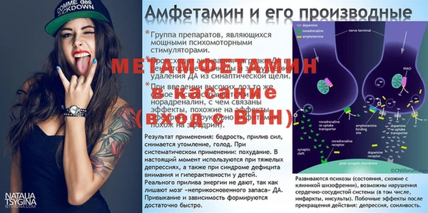 шишки Магадан