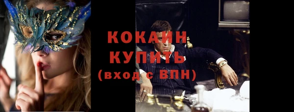 шишки Магадан
