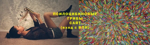 шишки Магадан