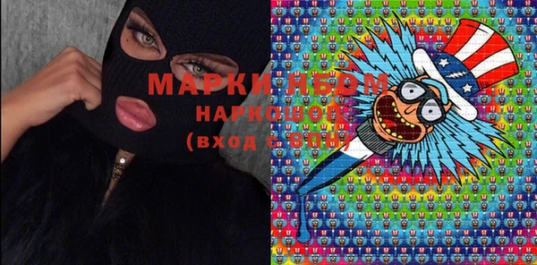 гашик Майский