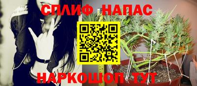 крисы Берёзовский