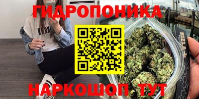 мяу мяу мука Бийск
