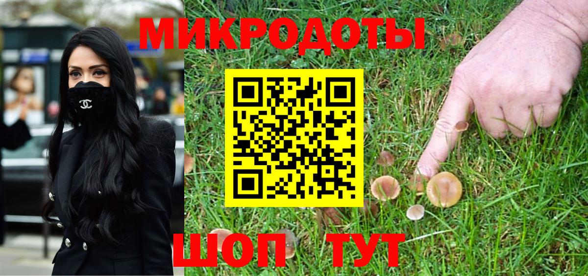 Псилоцибиновые грибы мухоморы  Россия 