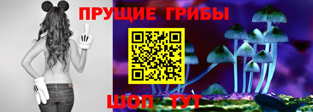 Галлюциногенные грибы Magic Shrooms Россия