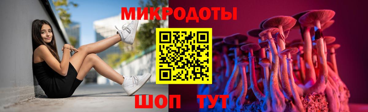 Россия  Галлюциногенные грибы прущие грибы  Вход с VPN 